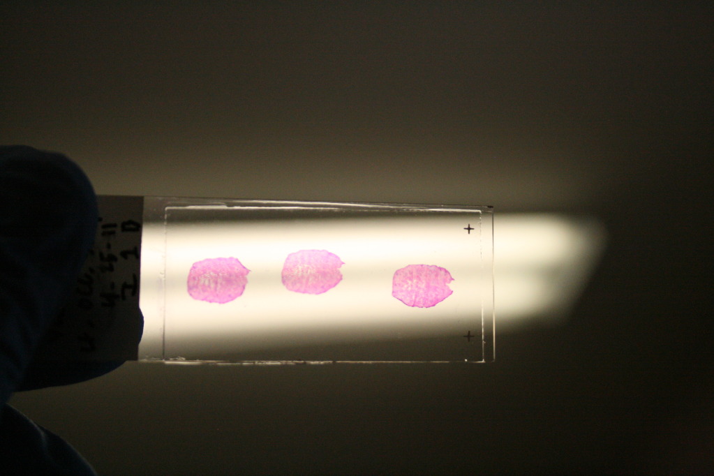 Home 20110423 999 84