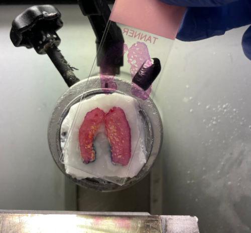 diseño sin título (4)