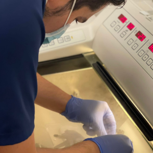 diseño sin título (6)