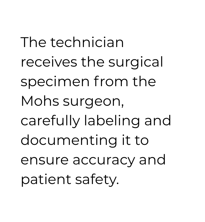 imagenes pagina web (4)