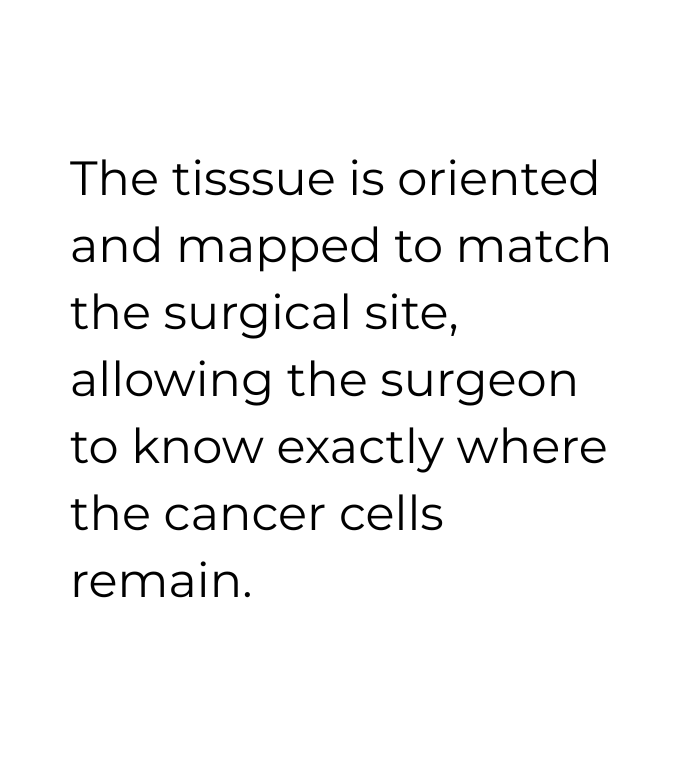 imagenes pagina web (5)