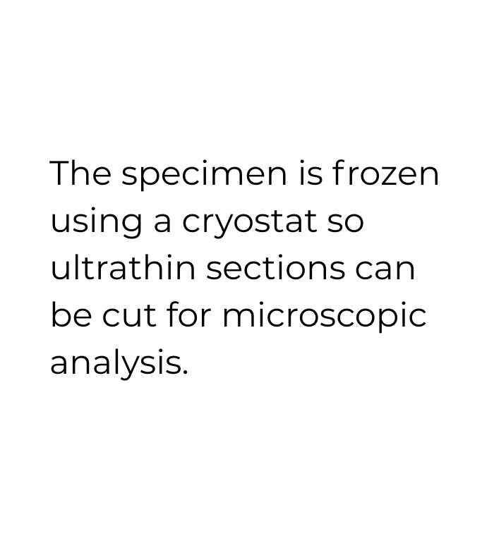 imagenes pagina web (6)